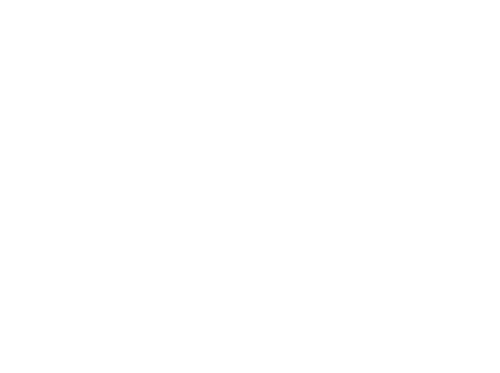 Logotipo - Jaret león