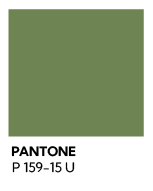 Pantone para branding de marca de Oaxaca