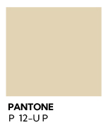 Pantone para branding de marca de Oaxaca